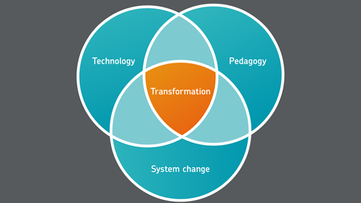 Figure 1. Ingredients for Transformation