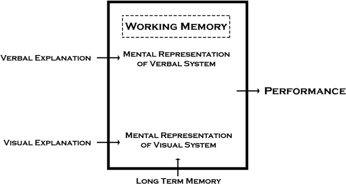 Figure 4. A simplified version of a diagram by Richard E. Mayer and Valerie K. Sims showing how visual and verbal representations combine to increase student performance