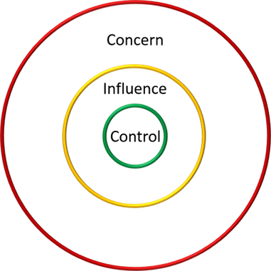 Figure 6. Circle of concern with influence and control