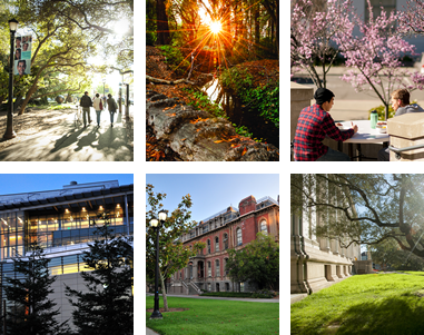 UC Berkeley campus photo montage