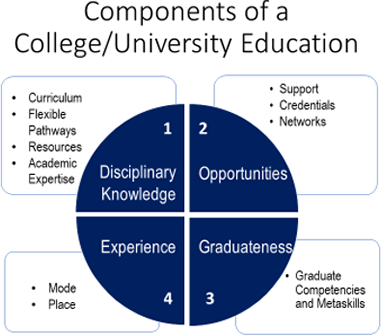 circle with four quadrants showing the components of a college/university education
