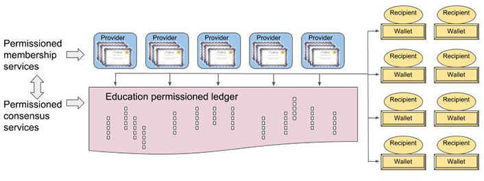 Row of Provider boxes labelled 'Permissioned membership services' with arrows to the 'Education permissioned ledger' area which is labelled 'Permission consensus services'. Two way arrow between Permissioned Membership Services and Permissioned Consensus Services. The row of Provider boxes also has an arrow to a set of 8 Recipient circles/Wallet boxes.