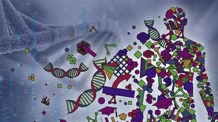 human genome project