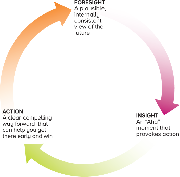 Figure 1. Foresight to Insight to Action Framework schematic