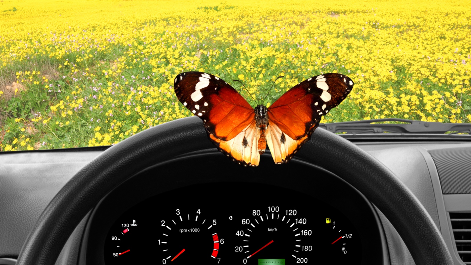 Reclaiming the Driver’s Seat: 6 Tips for Combating and Preventing Burnout