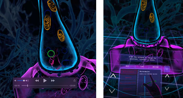 Synapse VR Neural Transmission