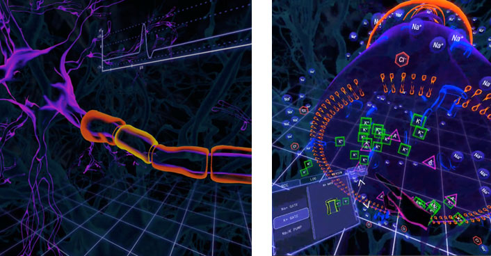 Synapse VR Neural Conduction