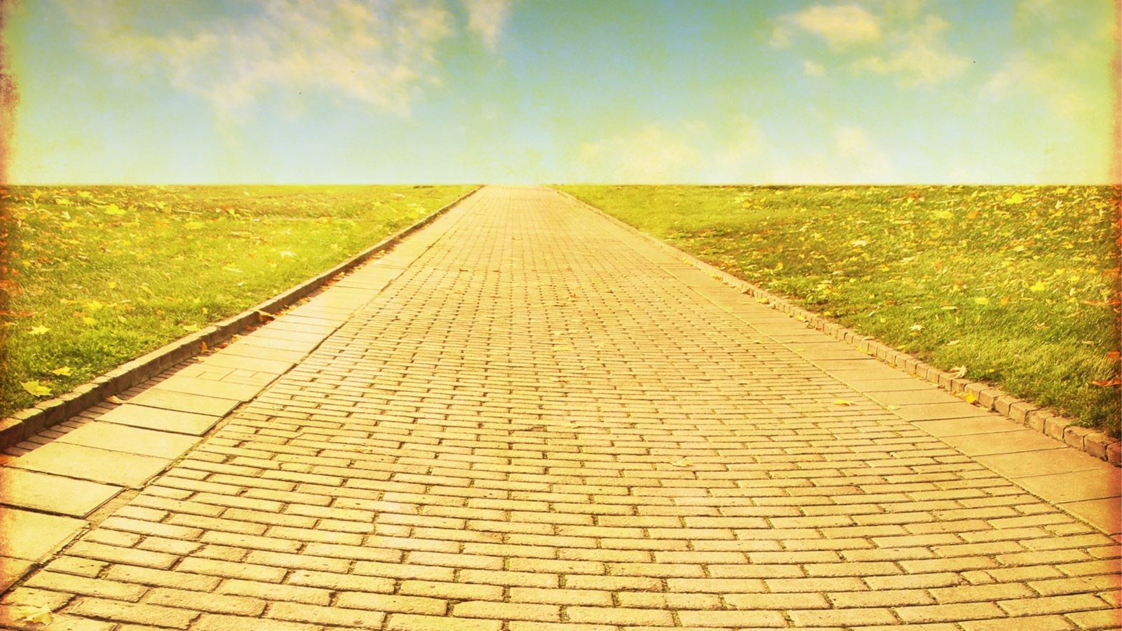 Following the Yellow Brick Road: See Seven Powerful Insights From