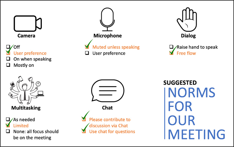 Suggested Norms for our Meeting. Camera options: Off, User preference (checked), On when speaking, Mostly on. Microphone options: Muted unless speaking (checked), User preference. Dialog options: Raise hand to speak, Free flow (checked). Multitasking options: As needed, Limited (checked), None - all focus should be on the meeting. Chat options: Please contribute to discussion via chat (checked), Use chat for questions (checked).
