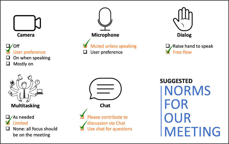 Suggested Norms for our Meeting. Camera options: Off, User preference (checked), On when speaking, Mostly on. Microphone options: Muted unless speaking (checked), User preference. Dialog options: Raise hand to speak, Free flow (checked).  Multitasking options: As needed, Limited (checked), None - all focus should be on the meeting. Chat options: Please contribute to discussion via chat (checked), Use chat for questions (checked).