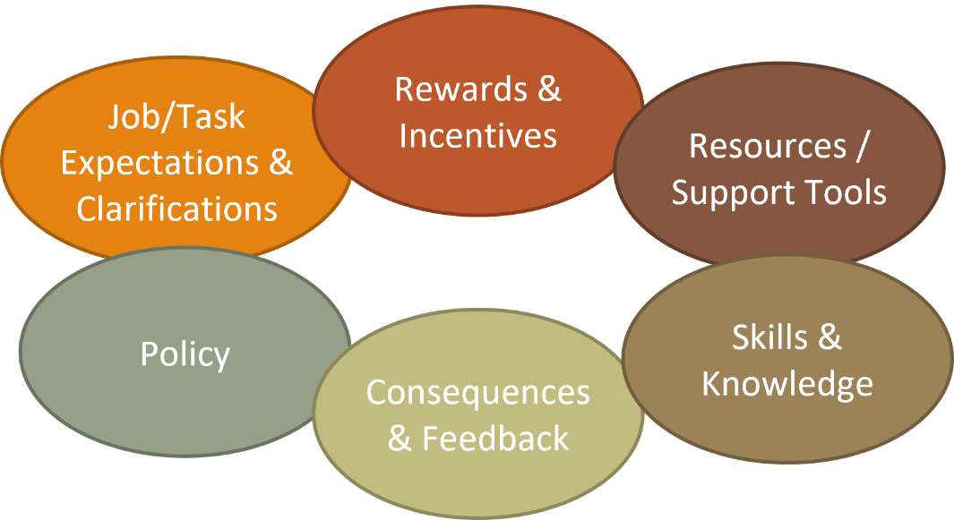 Policy; Job/Task Expectations & Clarifications; Rewards & Incentives; Resources/Support Tools; Skills & Knowledge; Consequences & Feedback.