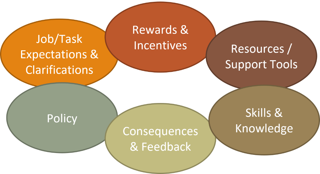 Policy; Job/Task Expectations & Clarifications; Rewards & Incentives; Resources/Support Tools; Skills & Knowledge; Consequences & Feedback.