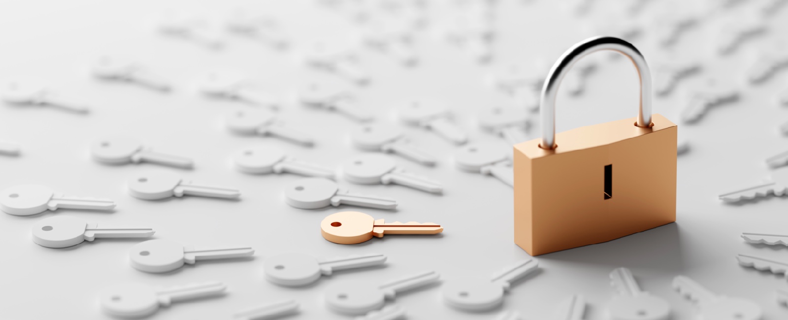 End User Admin Rights in Higher Ed: (Still) Securing the Keys
