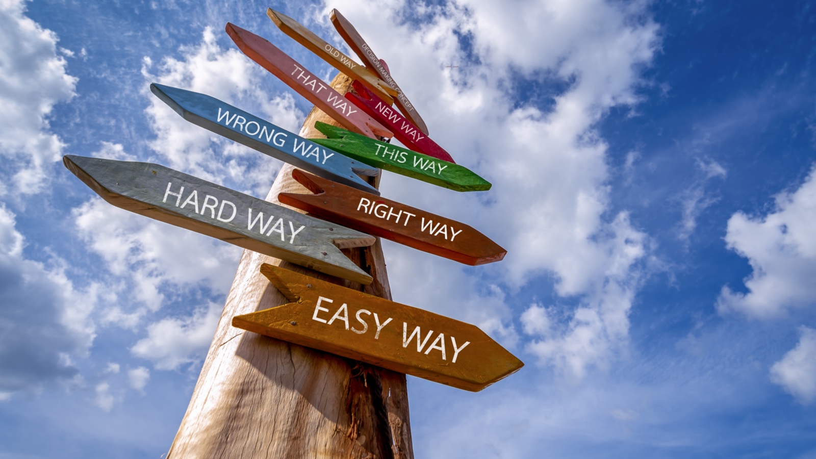 Post with signs pointing in different directions: Easy Way; Hard Way; Right Way; Wrong Way; This Way.