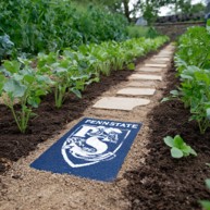 An AI-generated image of a garden path between rows of plants with a Penn State-style logo embedded in the path.
