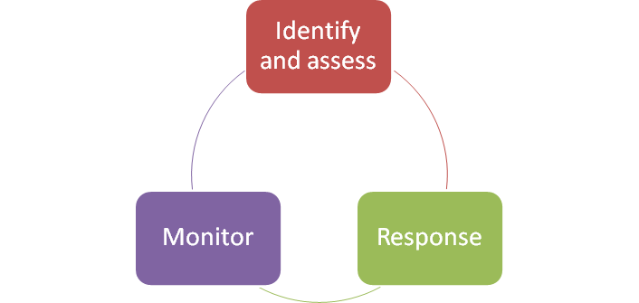 Risk management practices three-step diagram