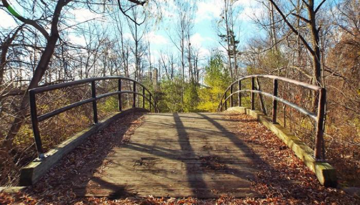 photo of old footbridge in autumn forest