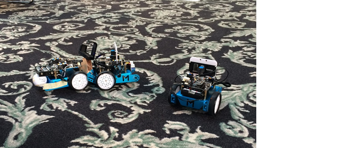 picture of two small robotic vehicles