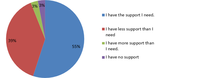 Figure 4. Level of executive support 2017 (n = 148)