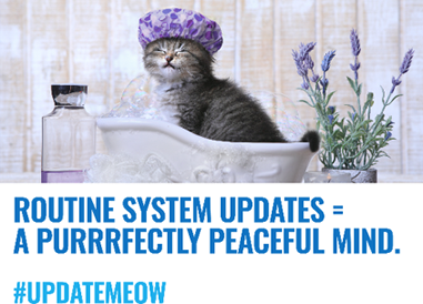 image of kitten in a small tub with shower cap on its head