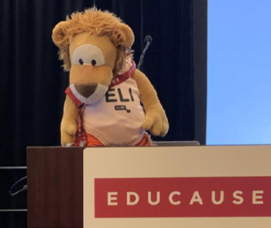 Ed, the study trip's mascot: a stuffed lion wearing an ELI shirt