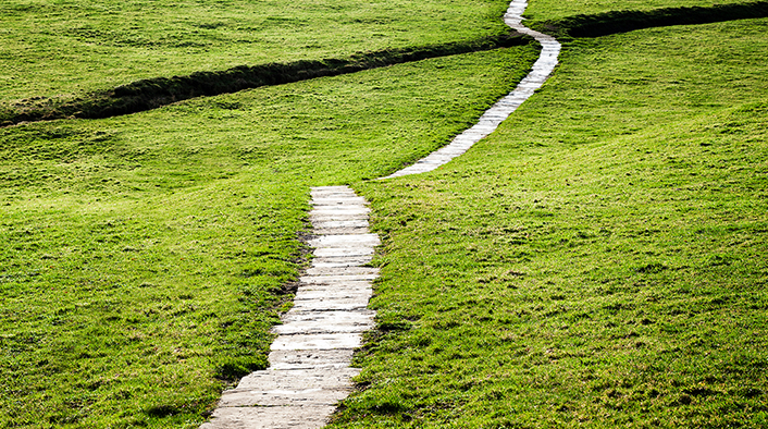 photo of stone path through green pasture