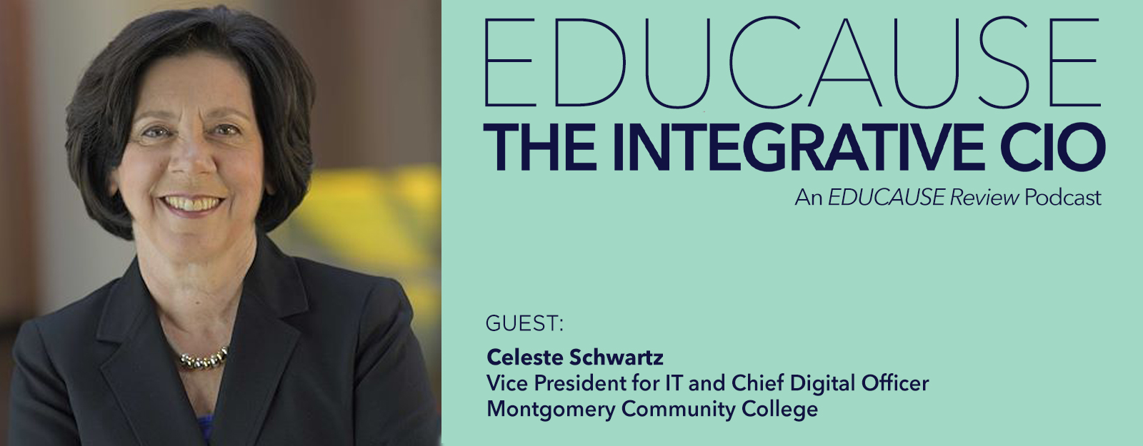 Celeste Schwartz on the Evolution of Higher Ed IT