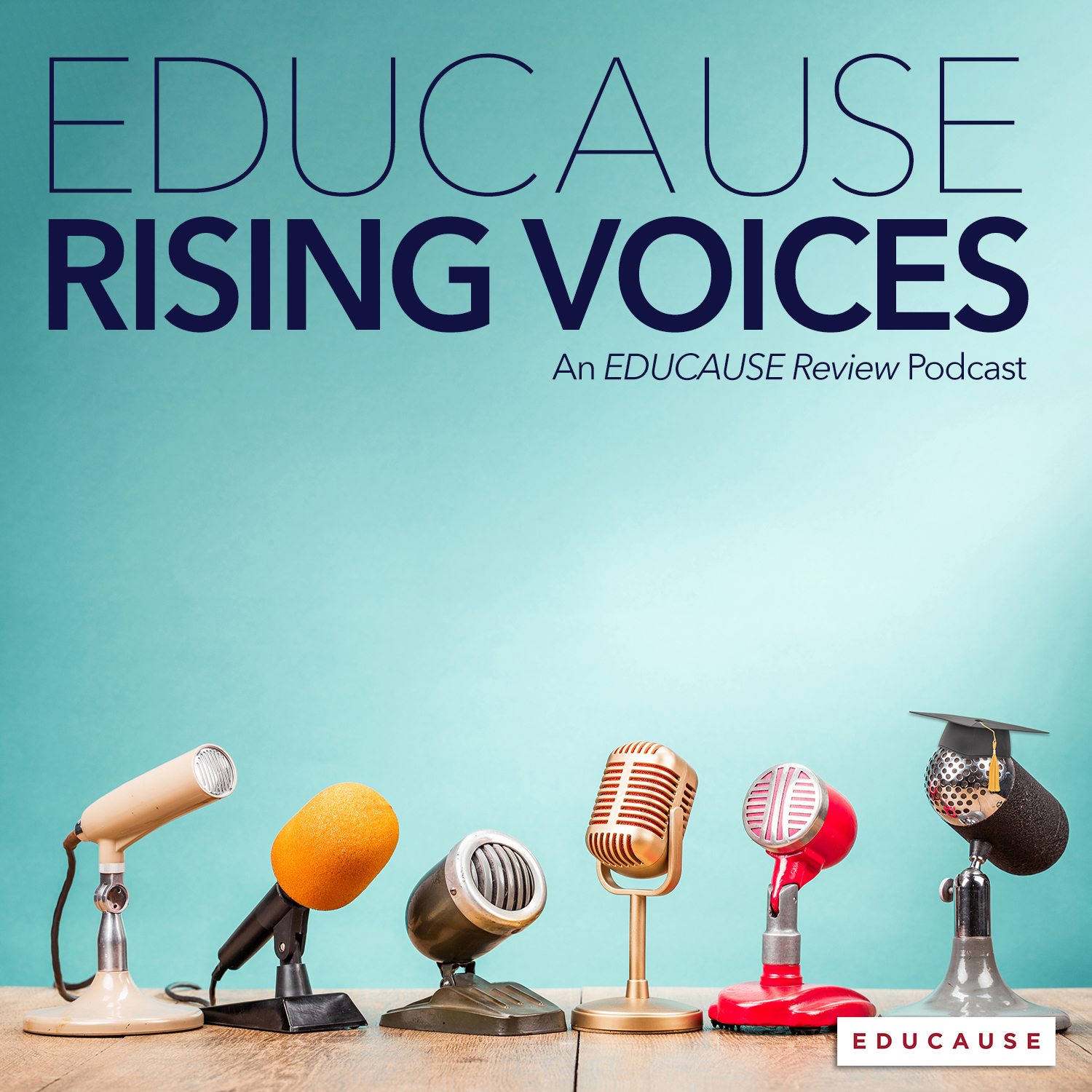 EDUCAUSE Rising Voices | An EDUCAUSE Review Podcast