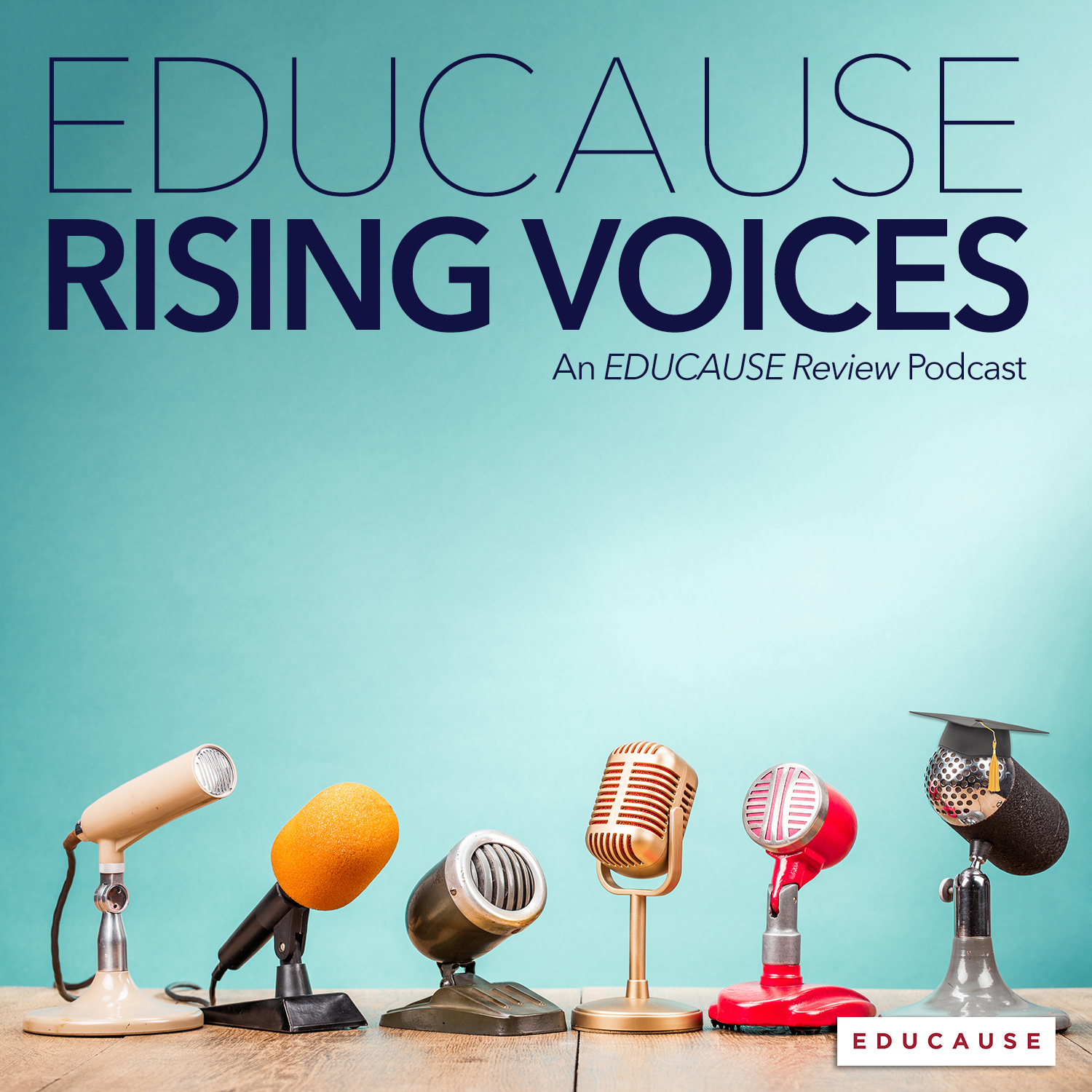 EDUCAUSE Rising Voices | An EDUCAUSE Review podcast series