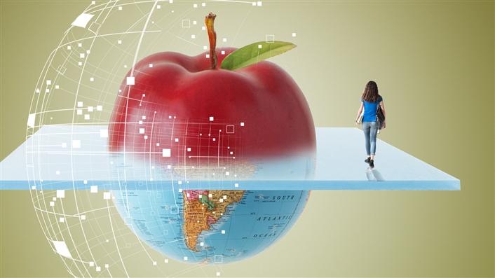 what is healthy diet essay summary